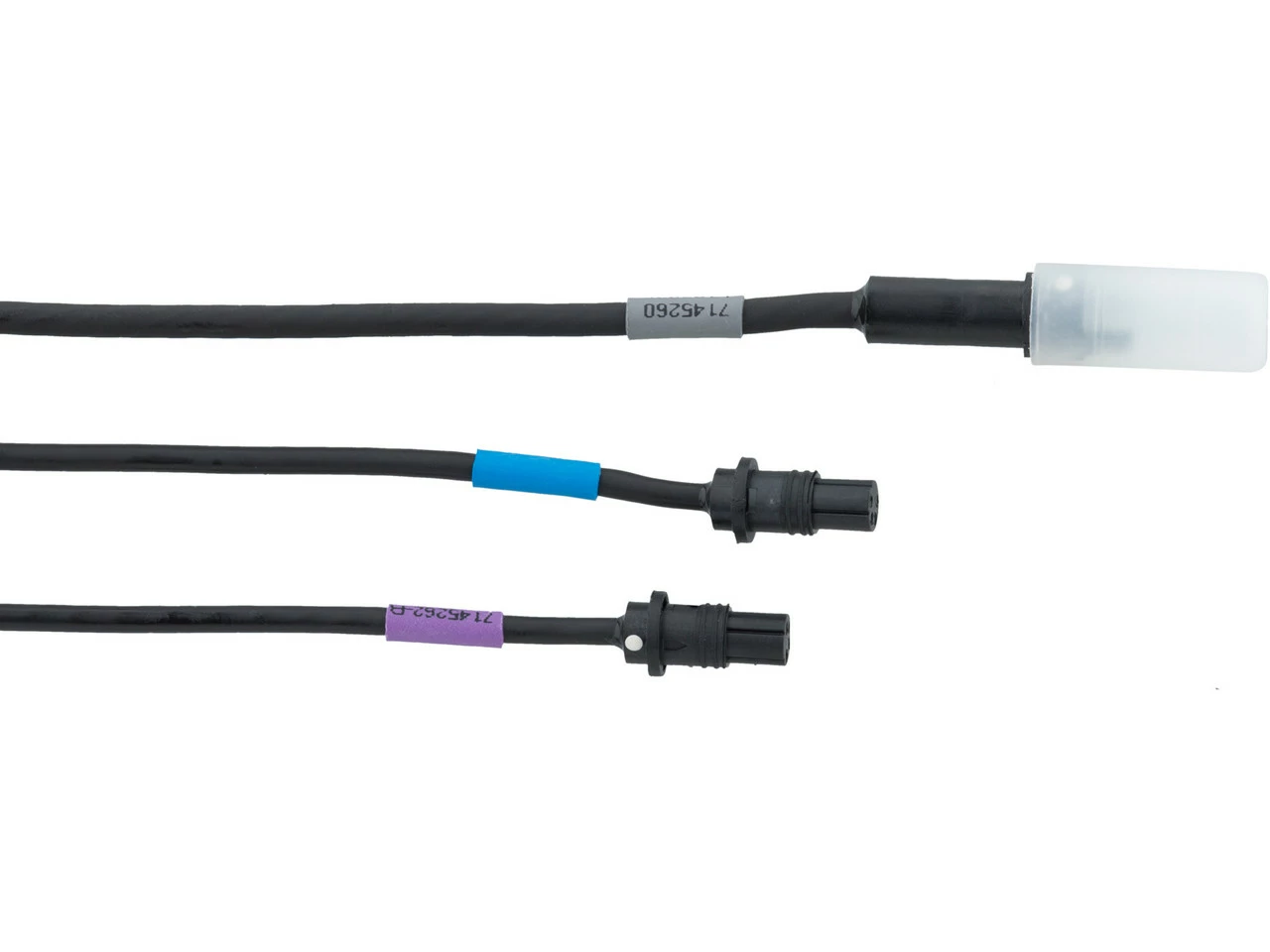 Campagnolo® Externe EPS 12s V4-Schnittstelle 5 Campagnolo® Externe EPS 12s V4-Schnittstelle – Bild 5